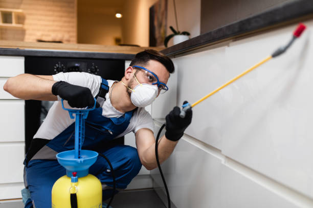 Best Pest Inspection Near Me  in Shelton, NE