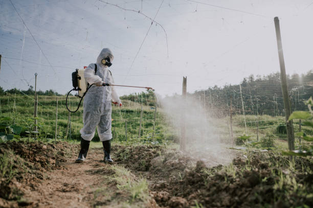 Best Affordable Pest Control Services  in Shelton, NE