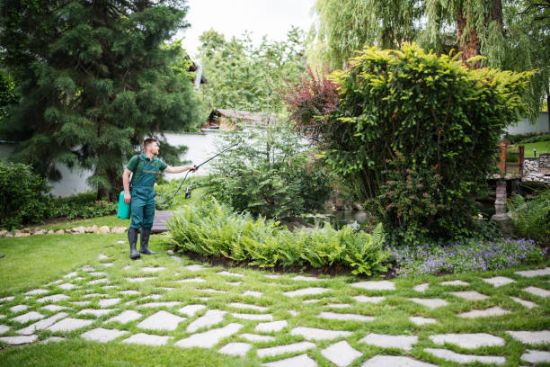 Best Pest Prevention Services  in Shelton, NE