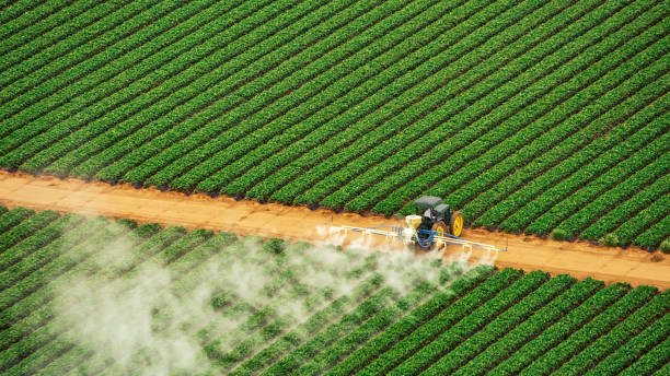 Best Best Pest Control Companies  in Shelton, NE