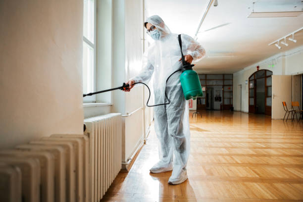 Best Local Pest Control Services  in Shelton, NE