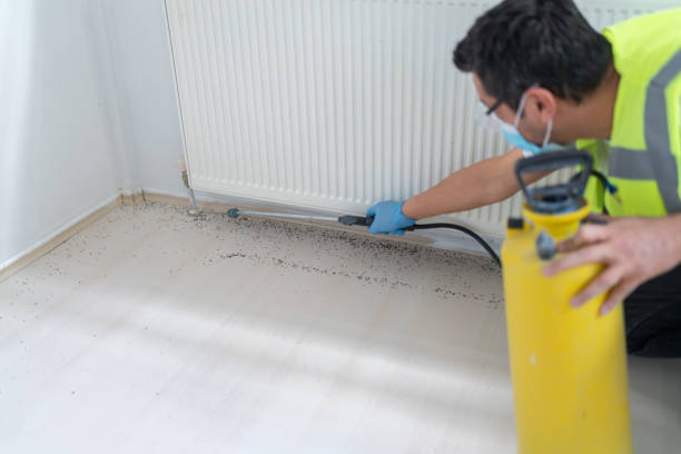 Best Termite Control Services  in Shelton, NE