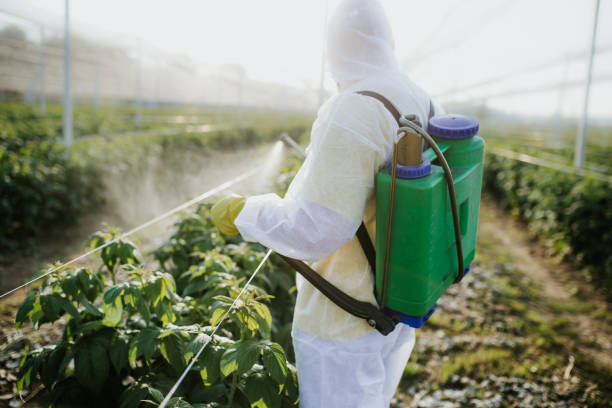 Best Exterminator Services  in Shelton, NE
